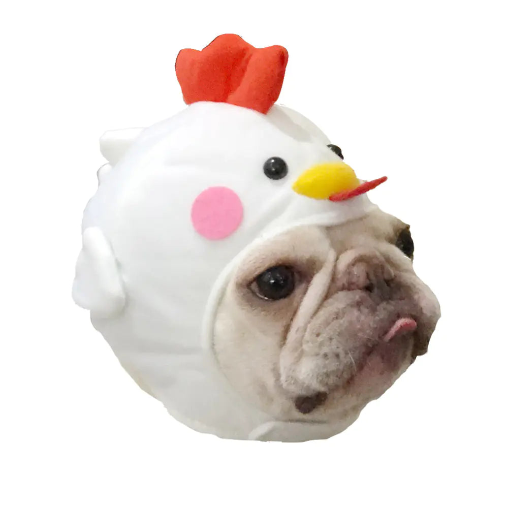 Creative Pet Supplies Cute Dog Hat for Styling Videos